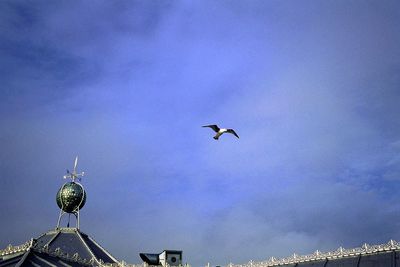 Low angle view of birds in flight