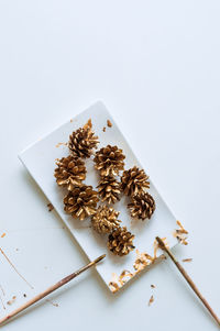 High angle view of chocolate cake on plate