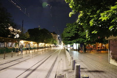 Road along trees at night