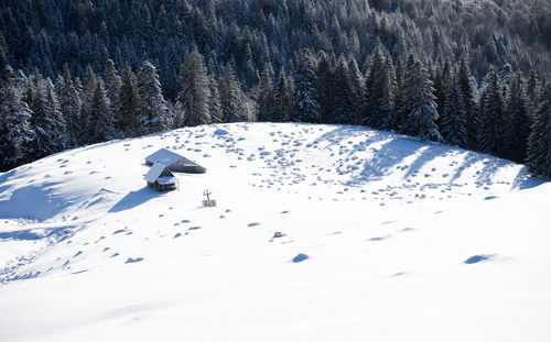 Isolated cabin in the apuseni mountains surrounded by the white of snow and coniferous trees.