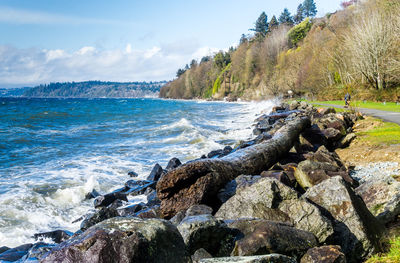 A view of the shoreline at saltwater state park in des moines, washington.