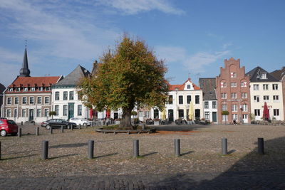 Trees and houses in town against sky during autumn