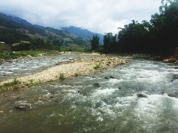 River flowing through rocks