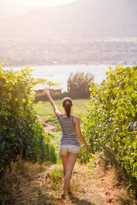 Rear view full length of young woman standing at vineyard
