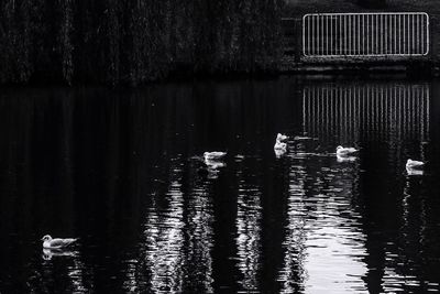 Reflection of lake in water