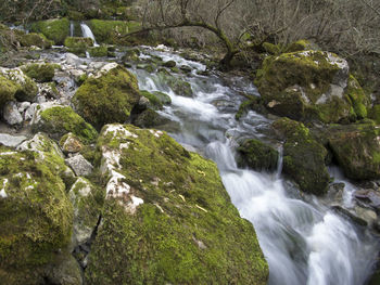 Scenic view of waterfall
