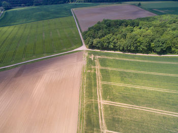 Scenic view of agricultural field