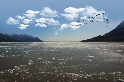 Hubbard glacier, alaska