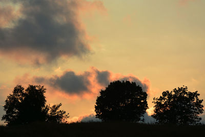 Silhouette trees on field against sky at sunset