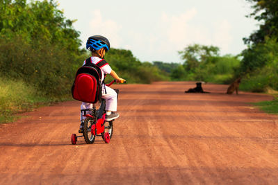Rear view of boy riding bicycle on road against trees and sky