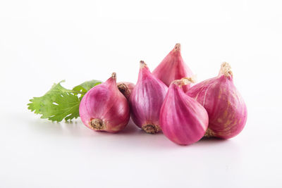 Close-up of food over white background