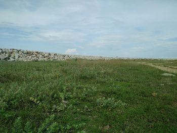 Scenic view of field against sky