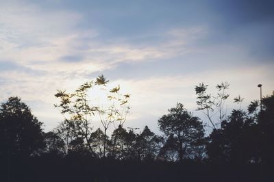 Low angle view of silhouette trees against sky