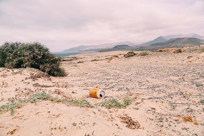 Abandoned drink can at desert