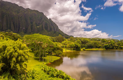 Scenic view of lake by trees against sky