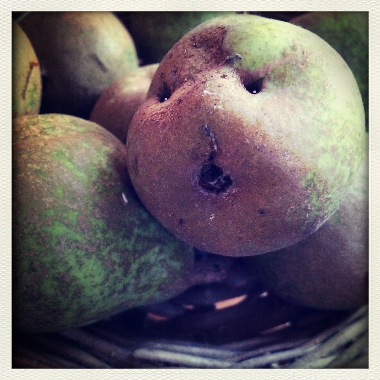 transfer print, auto post production filter, close-up, food and drink, freshness, food, fruit, focus on foreground, still life, healthy eating, selective focus, no people, indoors, day, high angle view, growth, vegetable, nature, green color