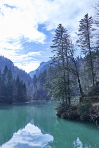 Scenic view of lake by trees against sky