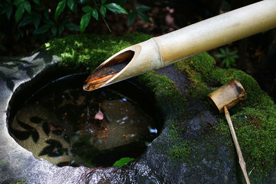 A quaint decoration called tukubai, made of bamboo tubes with water flowing in a japanese garden