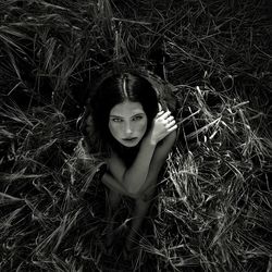 grass