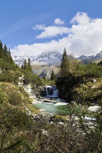 Scenic view of river by trees against sky