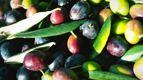 Full frame shot of fruits