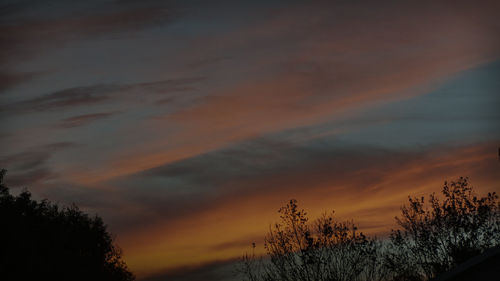 Low angle view of silhouette trees against sky at sunset