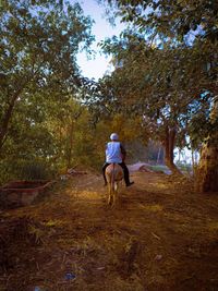 Rear view of man and woman walking in forest