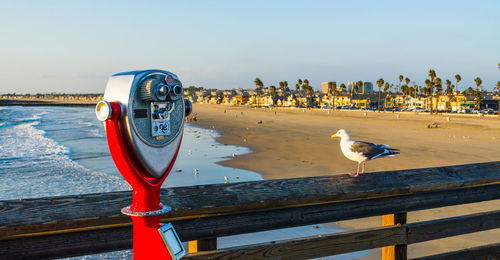 Seagull perching on railing against cityscape against sky