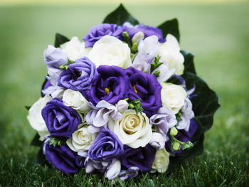 Close-up of purple roses