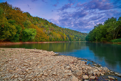 Scenic view of lake by trees against sky