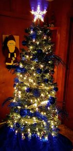 Illuminated christmas tree at night