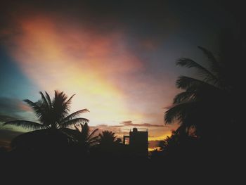 Low angle view of silhouette trees against sky at sunset