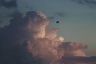 Low angle view of airplane flying in sky