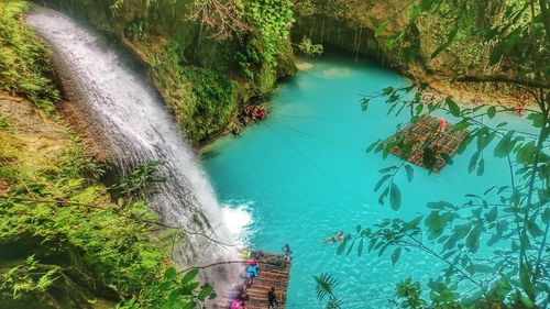 Pond in forest