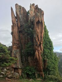 Low angle view of rock formation amidst trees against sky