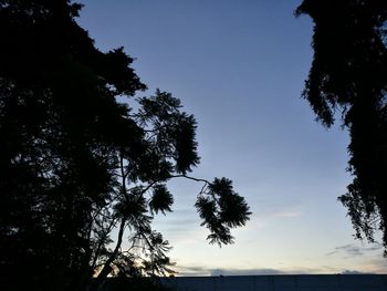 Low angle view of silhouette trees against clear sky