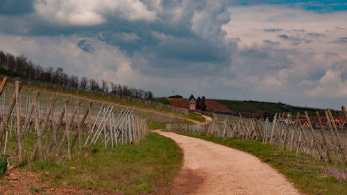 People walking on field against sky
