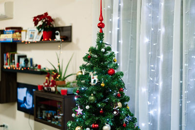 Christmas tree at home