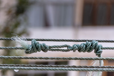 Close-up of clothesline from an apartament window