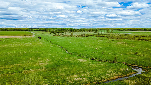 A beautiful view over a grassy field with small stream, trees, and forest in back. cloudy blue sky