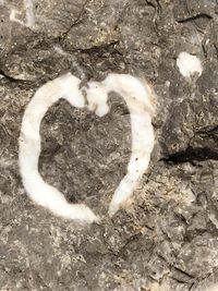 High angle view of heart shape on rock