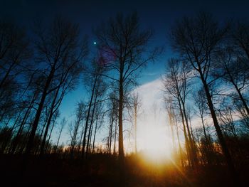 Low angle view of silhouette trees against sky during sunset