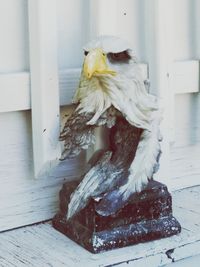 View of a dog on table