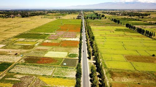 High angle view of rice field against sky