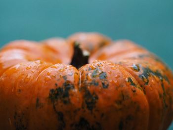 Close-up of pumpkin against gray background