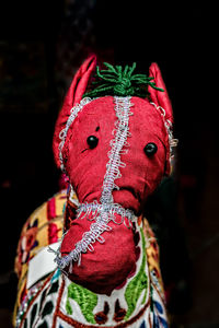 Close-up of an animal