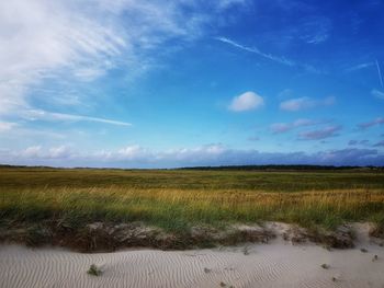 Scenic view of field against sky