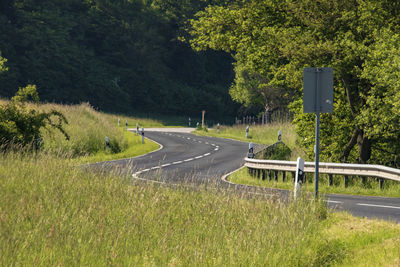 Empty winding road along trees