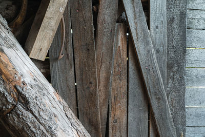 Full frame shot of logs in forest
