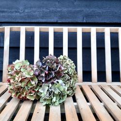 High angle view of flowering plants on wooden window